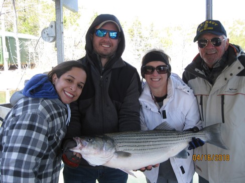 Nice Striped Bass